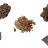 purchase mdma online