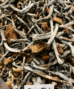 B+ SHROOMS