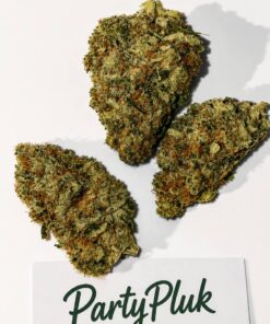 AMNESIA HAZE